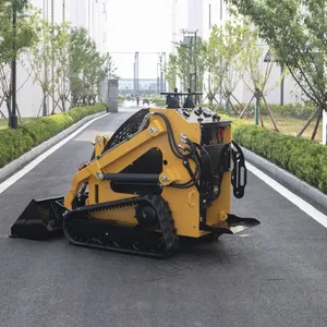 Production of Small Skid-steer Loaders, Multi-functional Engineering Vehicles, Skid Loaders, Wheel Loaders and Professional Lawn Mowers thumbnail-2