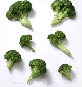 Manufacturer Best Selling Freeze Dried Broccoli thumbnail-5