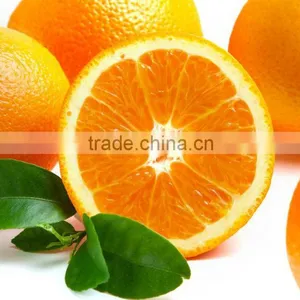 Belt Conveyor Checkweigher/ Weight Sorter/check Weighing Machine thumbnail-3