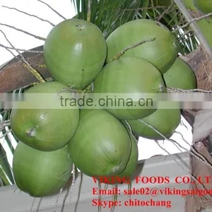 TASTY FROZEN SHREDDED COCONUT - VIET NAM - BEST FRICE thumbnail-4