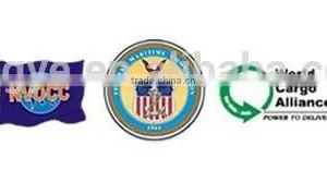 Sea Freight From Shantou Jieyang Chaozhou Shenzhen Guangzhou to ST PETERSBURG thumbnail-5