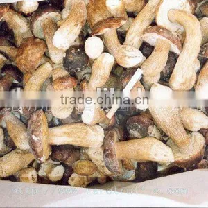 Nice Recipes Canned Suillus Mushroom thumbnail-1