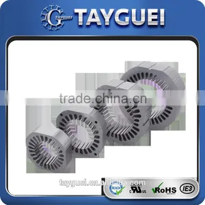 Professional OEM Rotor Stator Producer Stamping Die Casting Mould thumbnail-1