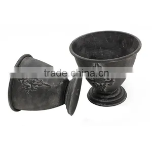 Hot Sale Indoor Plants Ficus Microcarpa Bonsai thumbnail-3