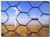 Reverse Twist Galvanized Hexagonal Wire Mesh thumbnail-1