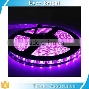High Brightness Led 5050 Waterproof Strip With Controler 24 Keys thumbnail-1