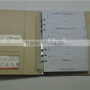 Divider Organizer, Divided Folder, Folder Tab Dividers thumbnail-6