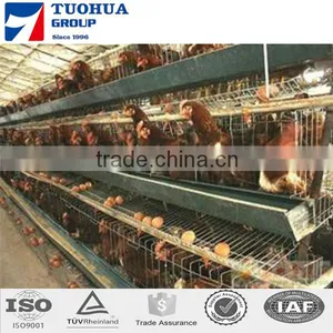 A Type Chicken Cage,layer Poultry Cages for Kenya Farms thumbnail-2