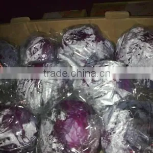 Fresh Cabbage thumbnail-1