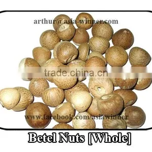 Betel Nuts [Whole] (Areca Catechu) thumbnail-1