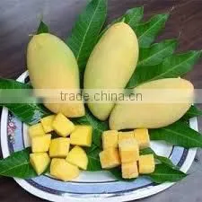 Fresh Mango thumbnail-1