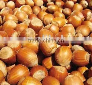 Hazelnut thumbnail-1