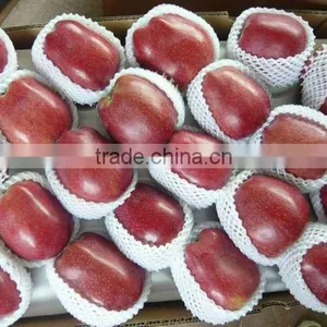 2012 Fresh Huaniu Apple thumbnail-1
