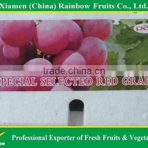 Top Quality Fresh Sweet Yunnan Red Grapes for Sell With POP SGV Brand thumbnail-3