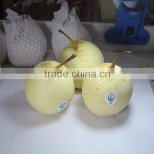 Ya Pear thumbnail-3