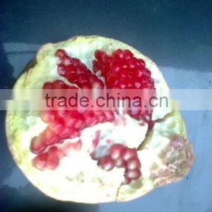 Fresh Pomegranate Crops 2015 thumbnail-1