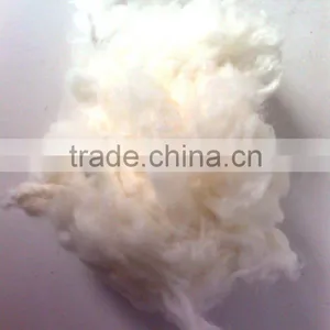 Carpet Grade Scoured Wool Best Price thumbnail-1