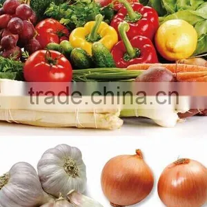 China Vegetables Frozen IQF Yellow Peach Dices Fruit thumbnail-6