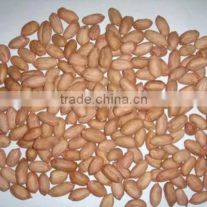 Peanut Kernels thumbnail-1