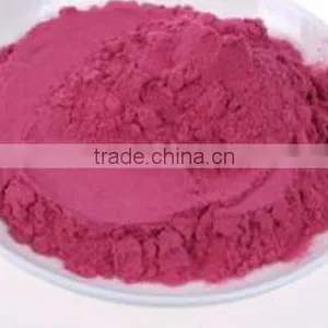 Freeze Dried Cranberry Powder-Emergency Survival Dried Food thumbnail-1