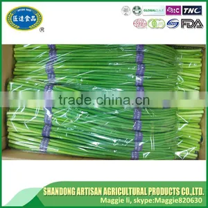 Chinese Garlic Sprout,garlic Shoot thumbnail-6