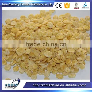Hot Sale Expanded Cereal Corn Flakes Production Line thumbnail-4