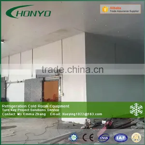 Freezer Room Cold Storage Room Cold Room Panels Polyurethane Sandwich Panel thumbnail-1