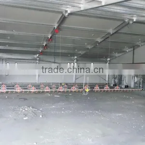 Well-design & Low Price Light Steel Structure Chicken House thumbnail-1
