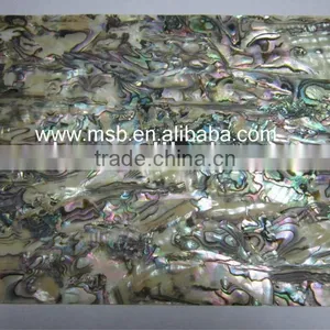 Mexican Paua Abalone Shell Laminate thumbnail-1