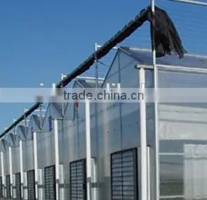 Greenhouse Sheet thumbnail-3