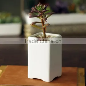Rustic Home Decor White Glazed Mini Rectangular Ceramic Planter thumbnail-1