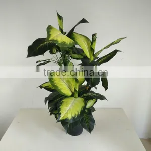 Fake Decorative Dieffenbachia Rohdea Artificial Evergreen Wholesale thumbnail-4