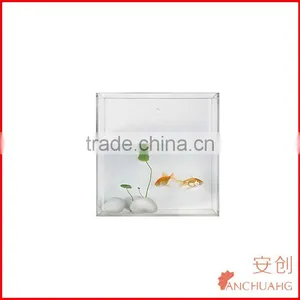 Acrylic Fish Tank thumbnail-1