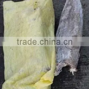 Tuna Fish of Oil Fish thumbnail-1