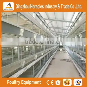 Best Selling Poultry Farming Layer Chicken Cage-H Type 4 or 5 Layers for Egg Chicken thumbnail-3