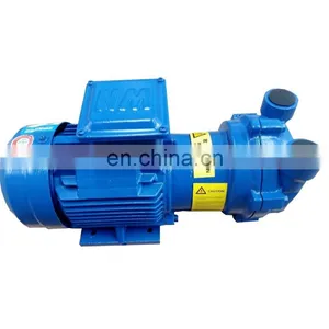 2bv2071 5hp Equal to Elmo Liquid Ring Vacuum Pump Used in Milking Machine Sold to Australia thumbnail-2