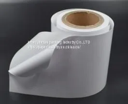 Pet Pvc Cosmetic Packing Sticker Label, Waterproof Adhesive Skin Care Label Printing Roll Sticker thumbnail-2