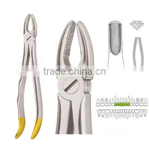 Dental Forcep, Dental Instrumens Supplies thumbnail-1