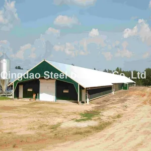 Modern Layout Design Steel Structure Layer Egg Chicken Cage Broiler Poultry Farm House thumbnail-2