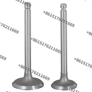 China Factory Supply S195, S1100, S1105, S1110, S1115, S1125 Diesel Engine Valve Kit thumbnail-5