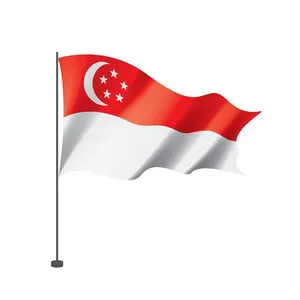 Sea, Air Services From China to Singapore Amazon FBA Service DDP/DDU thumbnail-1