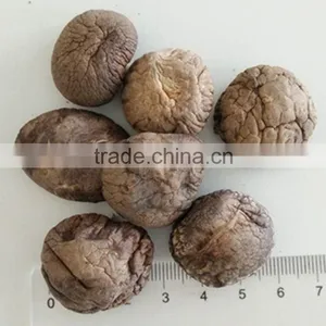 Wholesale Factory Prices for Shiitake 1KG thumbnail-5