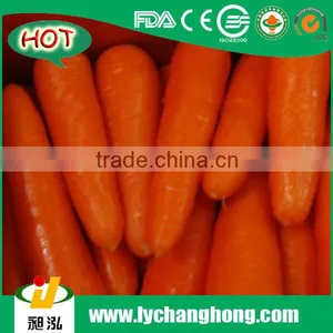 2014 New Red Carrot With 10kg/ctn thumbnail-1