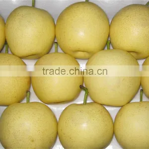 Effectual for Selling Fragrant Pear thumbnail-2