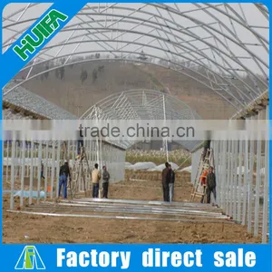 8m Width Multi-span Plastic Film Tunnel Vegetable Greenhouses for Sale thumbnail-2