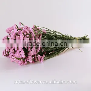 Regular Supply Best Quality Fresh Cut Green Statice Flower From China thumbnail-2