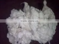 Organic Cotton Waste Droppings thumbnail-3