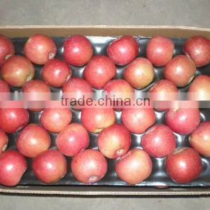 Red Fuji Apple thumbnail-1