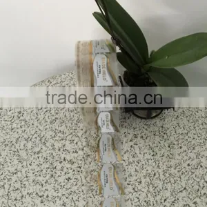 Guangzhou Manufacture Customized Labels Vinyl Transparent Material Wine Adhesive Stickers Printing thumbnail-3