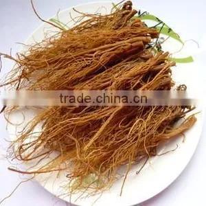 Red Ginseng Dry Root Changbai Korea Ginseng Price thumbnail-2